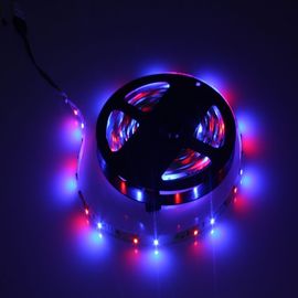 IP65 LED Strip Lights Kits Colour Changing 5M CE UL GS Approved
