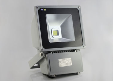 IP65 LED Flood light 70w 4000K , LED Landscaping Lights AC85 - 265V Meanwell driver